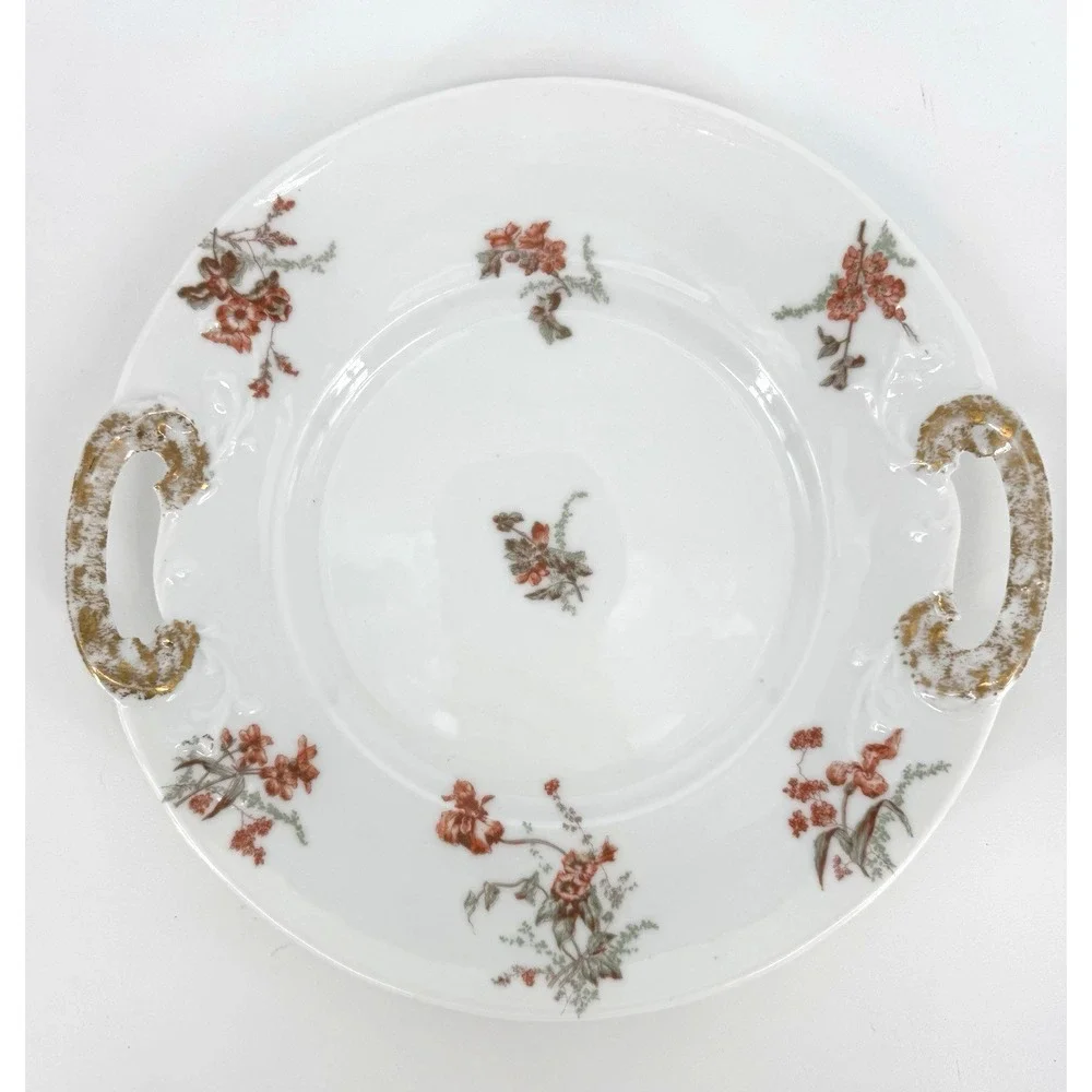 Jean Pouyat Limoges France Hand-Painted Floral Porcelain‎ Cake Platter Handles